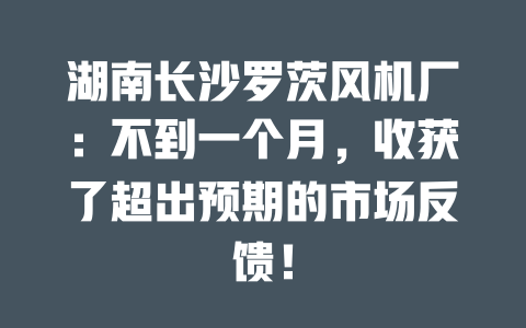 湖南長(zhǎng)沙羅茨風(fēng)機(jī)廠：不到一個(gè)月，收獲了超出預(yù)期的市場(chǎng)反饋！ 一