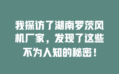 我探訪了湖南羅茨風(fēng)機(jī)廠家，發(fā)現(xiàn)了這些不為人知的秘密！ 一