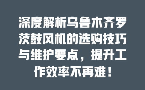 深度解析烏魯木齊羅茨鼓風(fēng)機(jī)的選購(gòu)技巧與維護(hù)要點(diǎn)，提升工作效率不再難！ 一