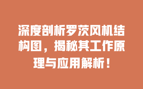 深度剖析羅茨風(fēng)機結(jié)構(gòu)圖，揭秘其工作原理與應(yīng)用解析！ 一