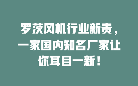 羅茨風(fēng)機(jī)行業(yè)新貴，一家國(guó)內(nèi)知名廠家讓你耳目一新！ 一