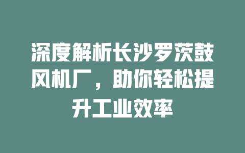 深度解析長沙羅茨鼓風機廠，助你輕松提升工業(yè)效率 一