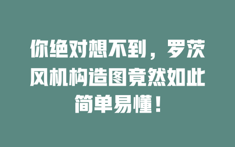 你絕對想不到，羅茨風(fēng)機構(gòu)造圖竟然如此簡單易懂！ 一