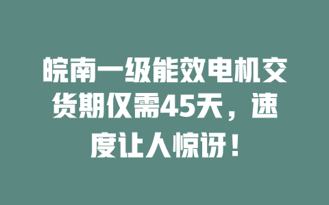 皖南一級能效電機交貨期僅需45天，速度讓人驚訝！ 一