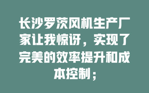 長(zhǎng)沙羅茨風(fēng)機(jī)生產(chǎn)廠家讓我驚訝，實(shí)現(xiàn)了完美的效率提升和成本控制； 一