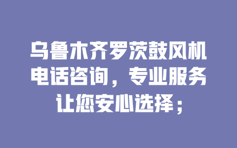 烏魯木齊羅茨鼓風(fēng)機(jī)電話咨詢，專業(yè)服務(wù)讓您安心選擇； 一