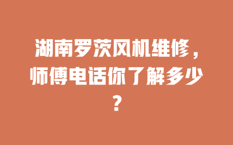 湖南羅茨風(fēng)機(jī)維修，師傅電話你了解多少？ 一