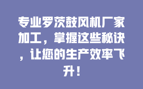 專業(yè)羅茨鼓風(fēng)機(jī)廠家加工，掌握這些秘訣，讓您的生產(chǎn)效率飛升！ 一