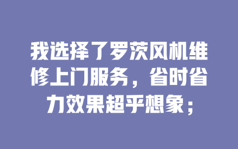 我選擇了羅茨風(fēng)機(jī)維修上門(mén)服務(wù)，省時(shí)省力效果超乎想象； 一