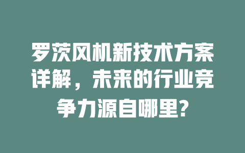 羅茨風(fēng)機(jī)新技術(shù)方案詳解，未來(lái)的行業(yè)競(jìng)爭(zhēng)力源自哪里? 一